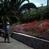 West Lake Park, August 1944 photo