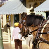 Disneyland Main Street U.S.A. Tobacco Shop 1979