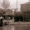 Disneyland opening day July 18, 1955