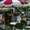 Flower Mart, June 1967