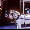 Flower Mart, July 1965