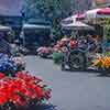 Flower Market 1960s