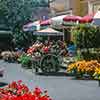 Flower Market 1960s