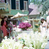 Main Street U.S.A. Flower Market, 1962