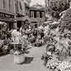 Flower Market 1974