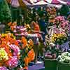 Main Street U.S.A., Flower Market, July 1971