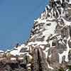 Disneyland Matterhorn climbers, June 2013