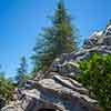 Disneyland Matterhorn, July 2015