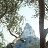 Disneyland Matterhorn photo, May 1960