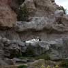 Disneyland Matterhorn April 1963 photo