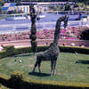 Disneyland Matterhorn photo, 1968