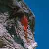 Richard Chambers Disneyland Matterhorn photo