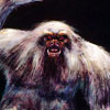 Matterhorn Yeti photo