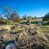 Miraval Arizona Resort and Spa, March 2019