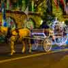 Mission Inn in Riverside California, January 2017