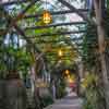 Las Campanas restaurant, Mission Inn, March 2012