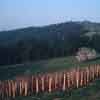 3D photo of Monticello, Thomas Jefferson's home, 1970s