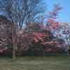 3D photo of Monticello, Thomas Jefferson's home, 1970s