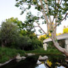 Remnants of Disneyland Motor Boat Cruise, May 2011