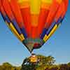 Daveland Napa Valley Balloon photo, June 2009