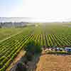 Daveland Napa Valley Balloon photo, June 2009