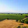 Daveland Napa Valley Balloon photo, June 2009