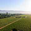 Daveland Napa Valley Balloon photo, June 2009