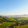 Daveland Napa Valley Balloon photo, June 2009