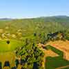 Daveland Napa Valley Balloon photo, June 2009