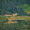 Daveland Napa Valley Balloon photo, June 2009