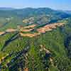 Daveland Napa Valley Balloon photo, June 2009