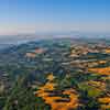 Daveland Napa Valley Balloon photo, June 2009