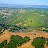 Daveland Napa Valley Balloon photo, June 2009