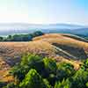 Daveland Napa Valley Balloon photo, June 2009