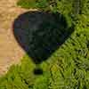 Daveland Napa Valley Balloon photo, June 2009