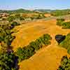 Daveland Napa Valley Balloon photo, June 2009