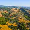 Daveland Napa Valley Balloon photo, June 2009