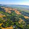 Daveland Napa Valley Balloon photo, June 2009