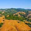 Daveland Napa Valley Balloon photo, June 2009