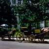 New Orleans vintage August 1966 photo