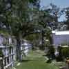 Lafayette Cemetery in New Orleans May 1969