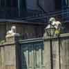 The Court of Two Lions on Toulouse Street, New Orleans, 1950s