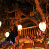 Blue Bayou Restaurant in New Orleans Square at Disneyland March 2012