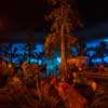 Blue Bayou Restaurant in New Orleans Square at Disneyland photo, October 2014