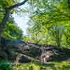 Central Park, NYC, May 2016