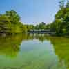 Central Park, NYC, May 2016