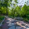 Central Park, NYC, May 2016