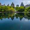 Central Park, NYC, May 2016