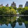 Central Park, NYC, May 2016