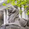 NY Public Library, Stephen A. Schwarzman Building, New York City, May 2018